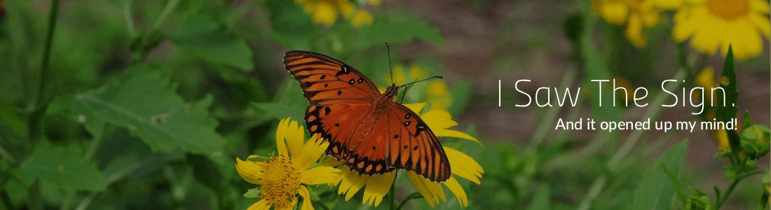 Banner for shirtshop